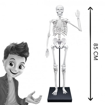 6899f2ceae980425e5d5c5b3af0d21bd